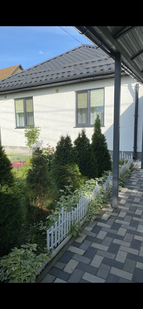 viber_image_2025-08-16_13-08-14-884