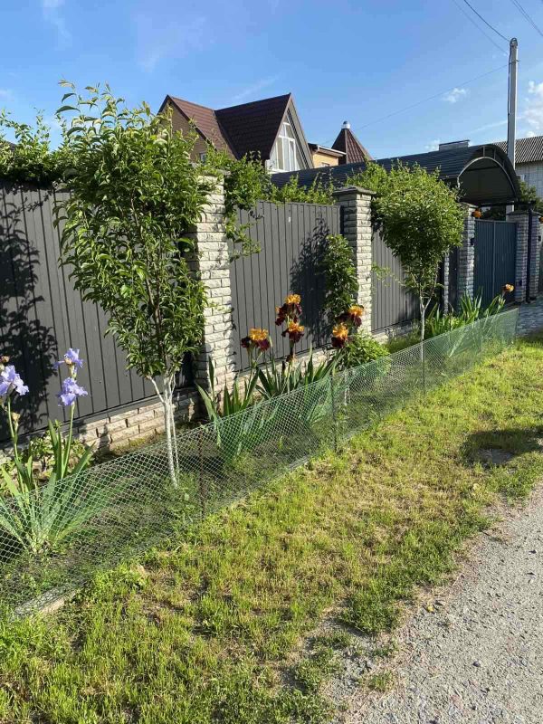 viber_image_2025-08-16_13-08-21-182