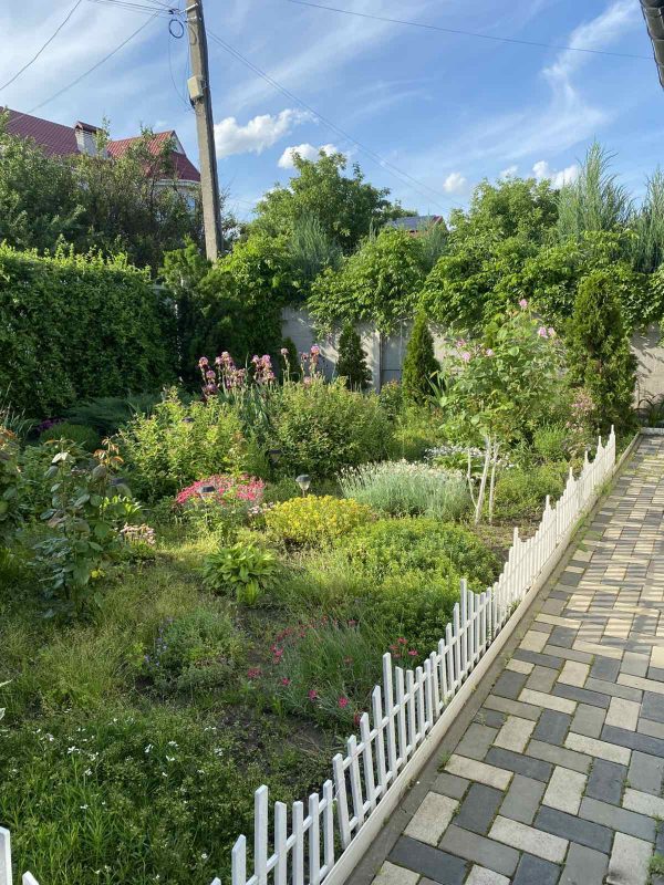 viber_image_2025-08-16_13-08-31-948