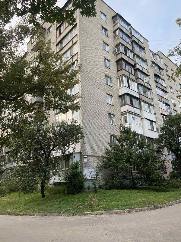 viber_image_2025-08-27_10-23-15-717