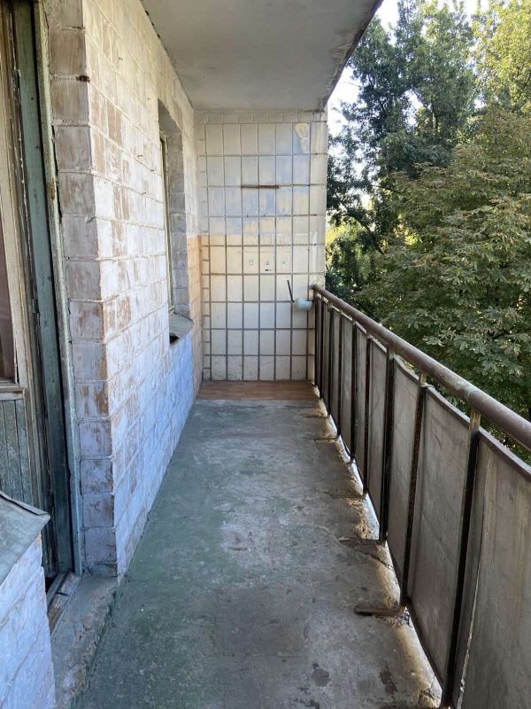 viber_image_2025-09-04_12-46-36-785