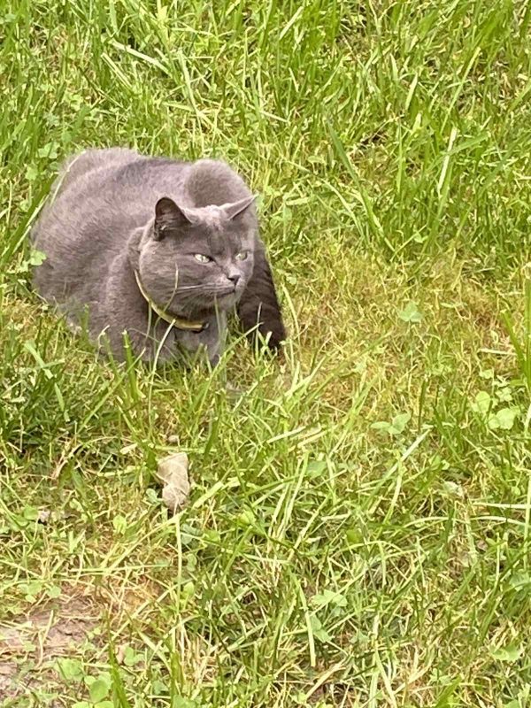 viber_image_2025-09-08_12-42-21-371