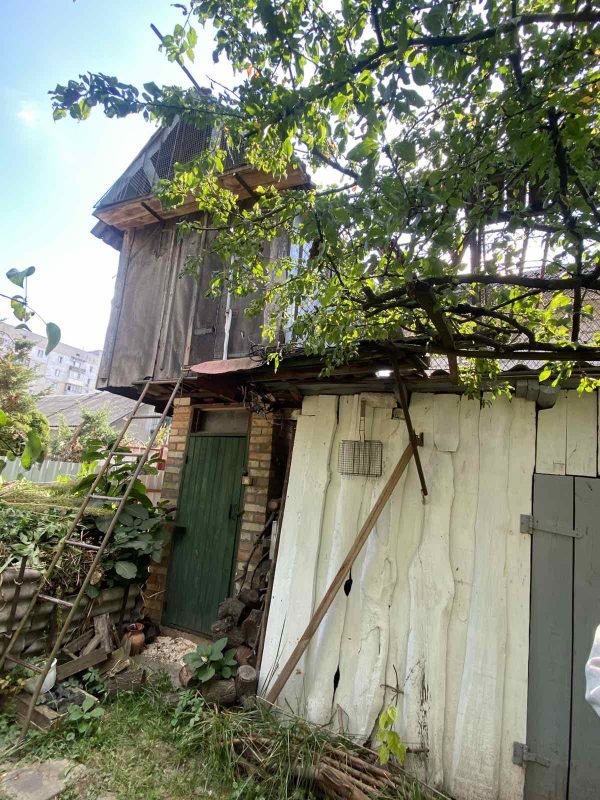 viber_image_2025-09-08_12-42-21-716