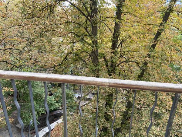 viber_image_2025-09-18_15-14-43-780